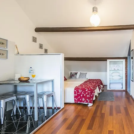 A Francos Attic 아파트 포르투